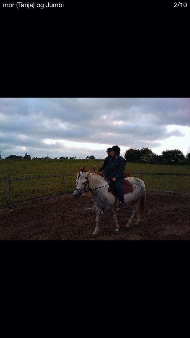 Anden særlig race Jumbi <3 billede 8