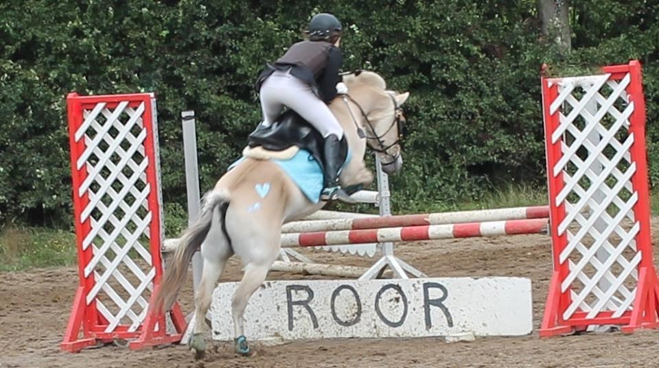 Fjordhest Monik Thorsø - Jysk Mesterskab. 2. Plas ud af 9 ryttere. billede 2