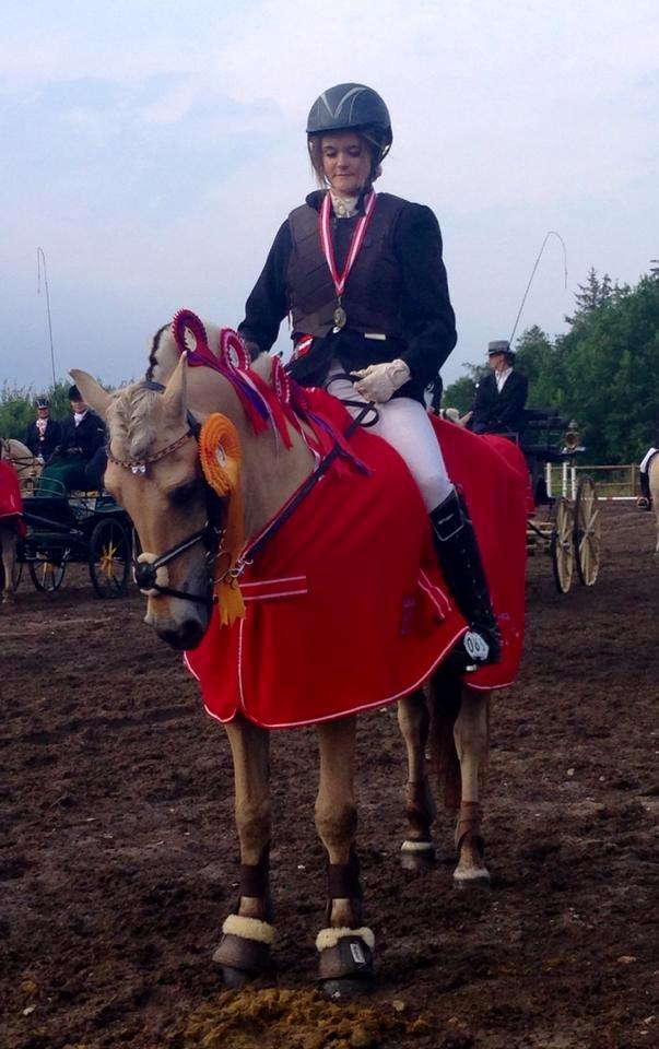 Fjordhest Monik Thorsø - Vinder af DM For Fjordheste spring. billede 3