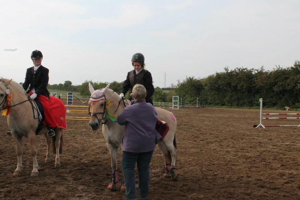 Fjordhest Monik Thorsø - Præmieoverækkelse til JM billede 6