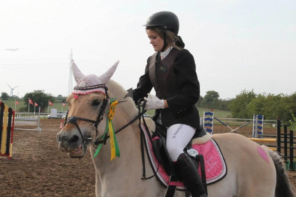 Fjordhest Monik Thorsø - Starten på en æresrunde (Staves) billede 14