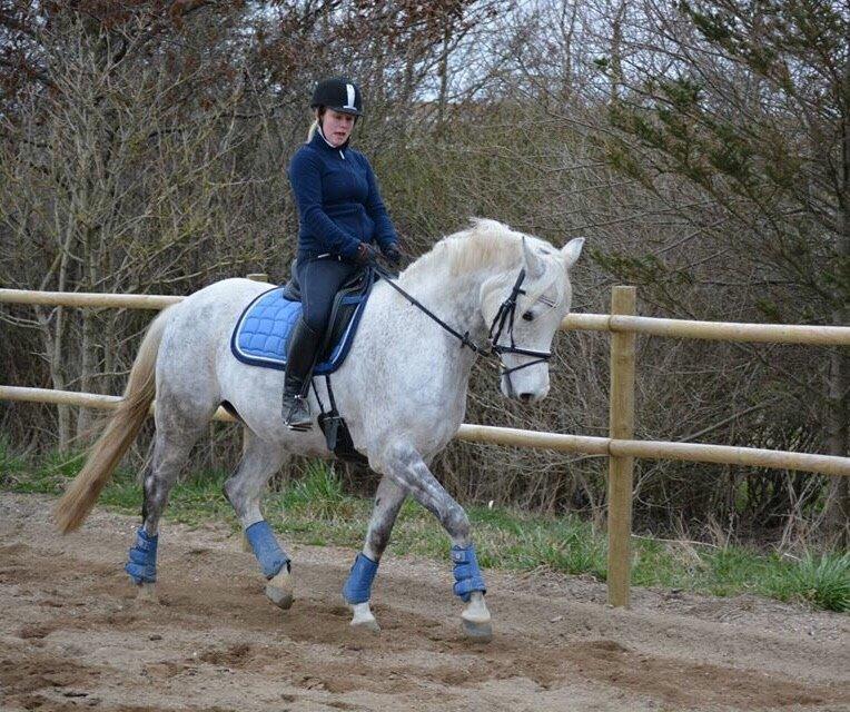 DSP Remember Me Af Sandager billede 13