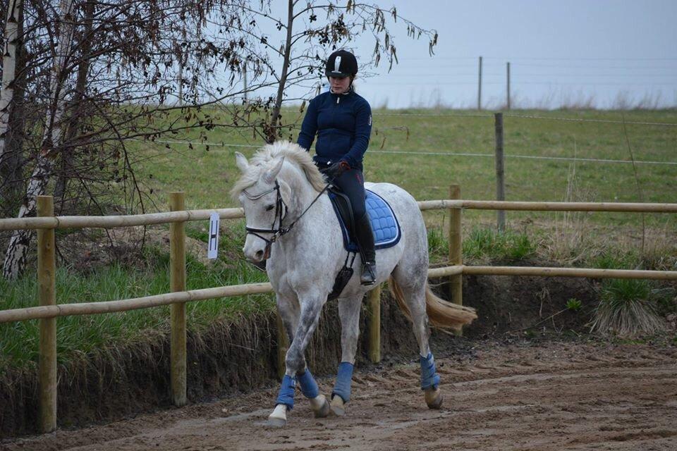 DSP Remember Me Af Sandager billede 16