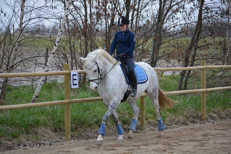 DSP Remember Me Af Sandager billede 18