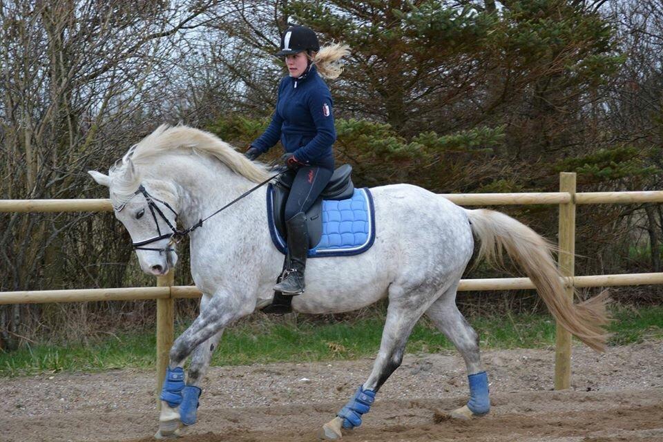 DSP Remember Me Af Sandager billede 17