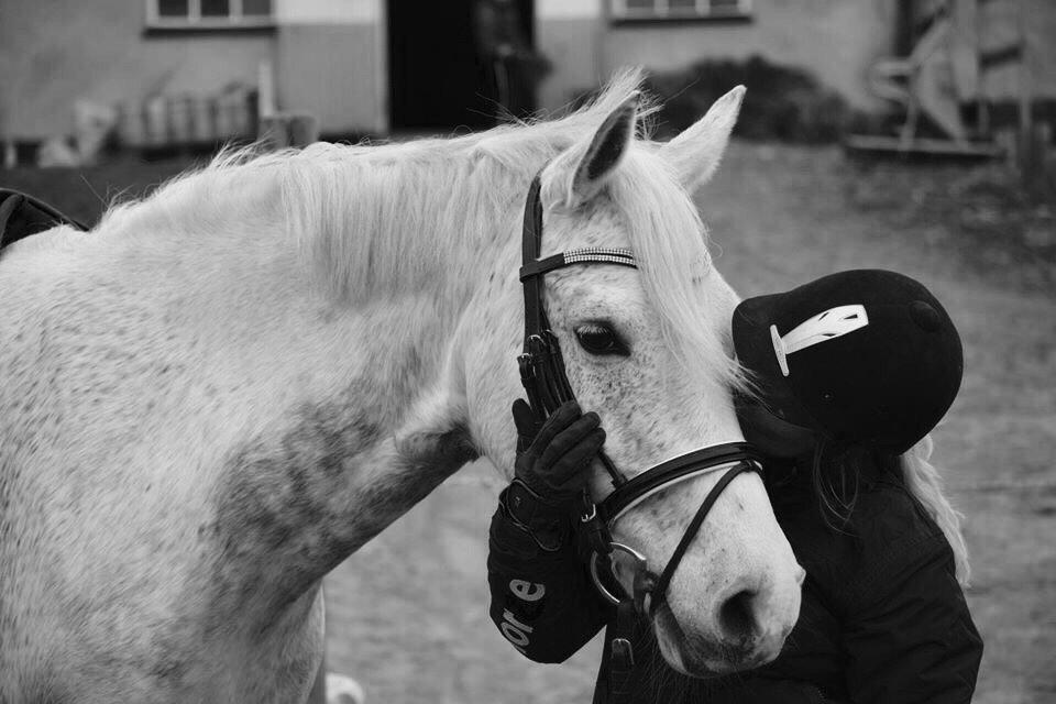 DSP Remember Me Af Sandager billede 20