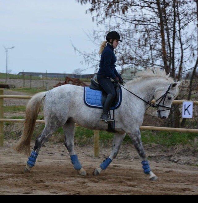 DSP Remember Me Af Sandager billede 14