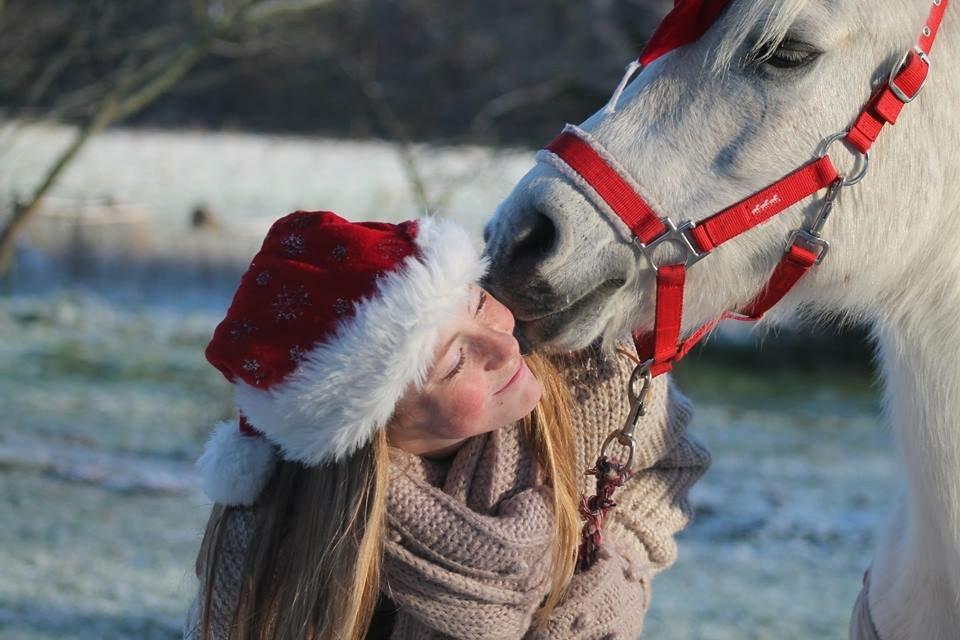 Anden særlig race Raija l Soulmate l <3 - 42 ♥ Merry christmas! - Min dejligste mus ♥ ( Foto: Lilleøster ) 25. december 2014 billede 42