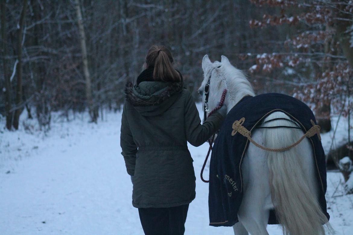 Anden særlig race Raija l Soulmate l <3 - 50 ♥ Side by side, forever and always ♥ ( Foto: Oline ) ♥ 12. februar 2015 billede 50