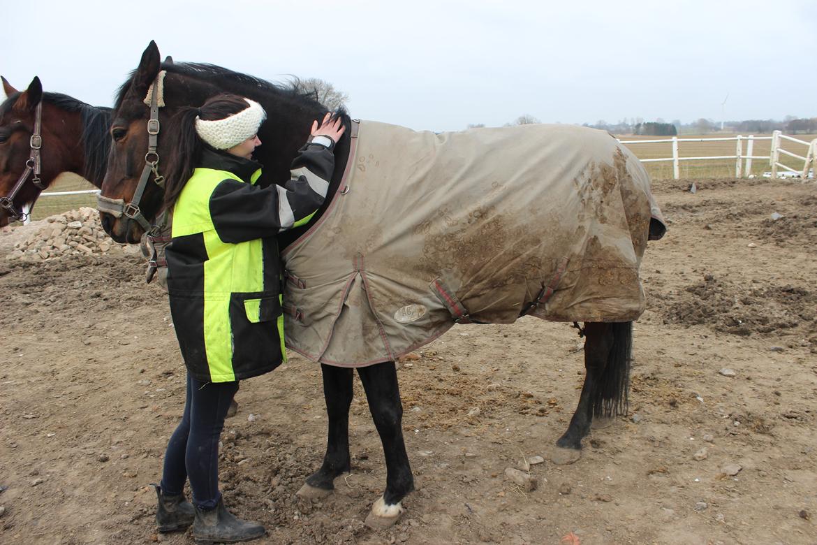 Traver Leroy Hall billede 7