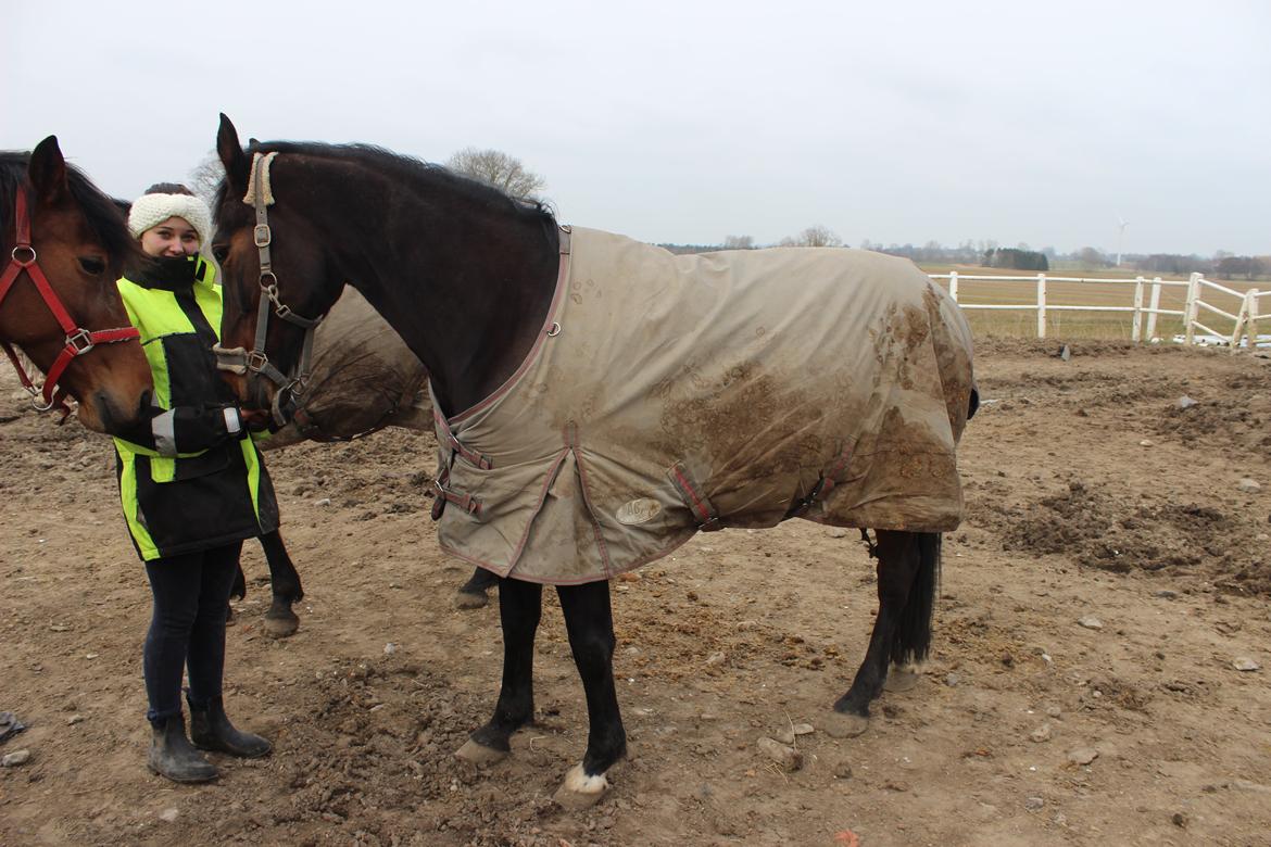 Traver Leroy Hall billede 6