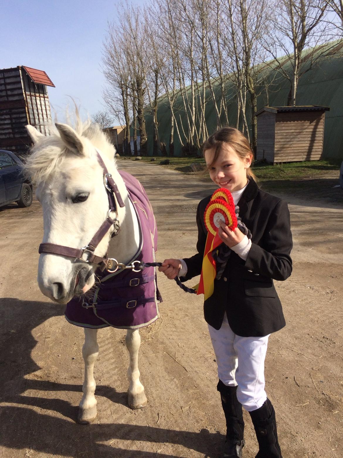 Anden særlig race Ryttergaardens Lille My billede 3