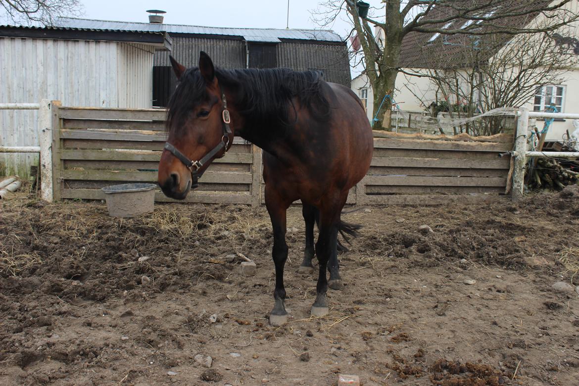 Traver Nova Zempla billede 2