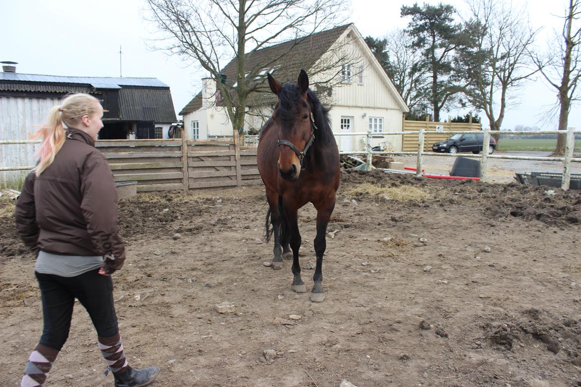 Traver Nova Zempla billede 6