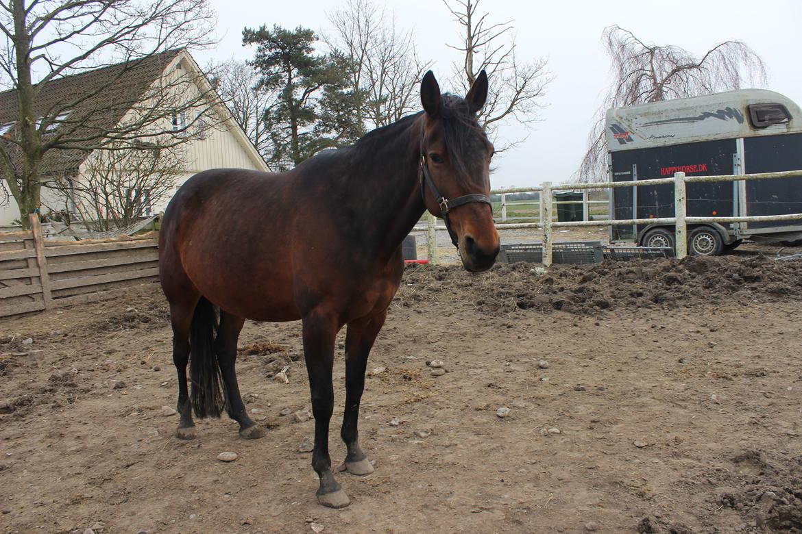 Traver Nova Zempla billede 5