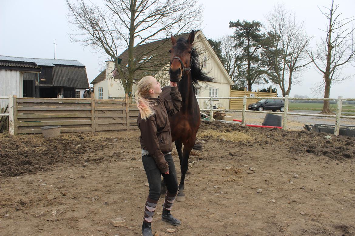 Traver Nova Zempla billede 8