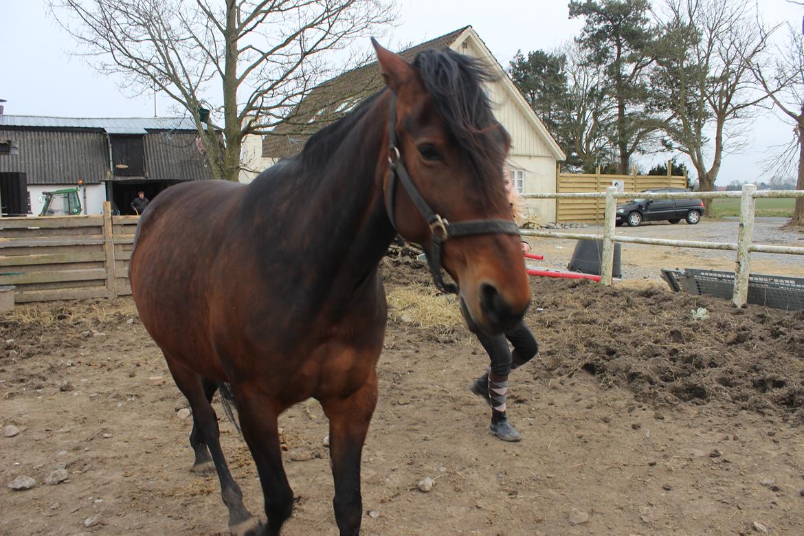 Traver Nova Zempla billede 12