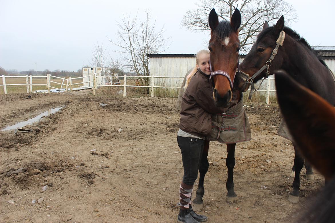 Traver sala nichi billede 8