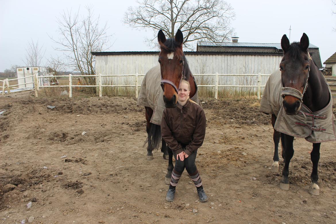 Traver sala nichi billede 10