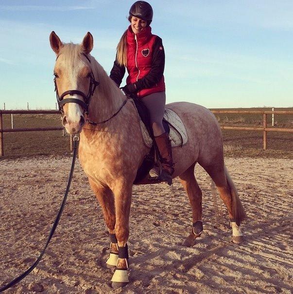 Palomino Kjærgaards Golden Champ billede 16