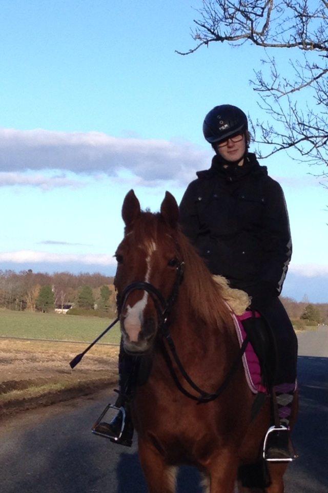 Anden særlig race Lady rose billede 16