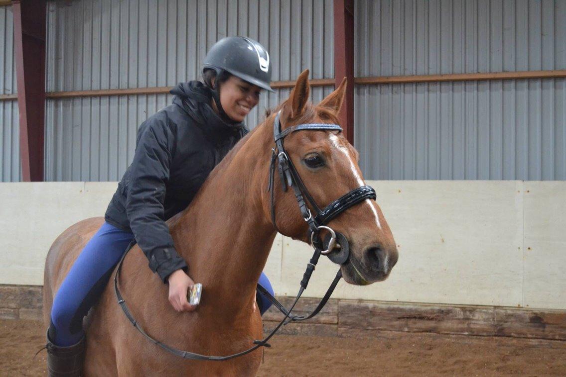 Anden særlig race Milla billede 19