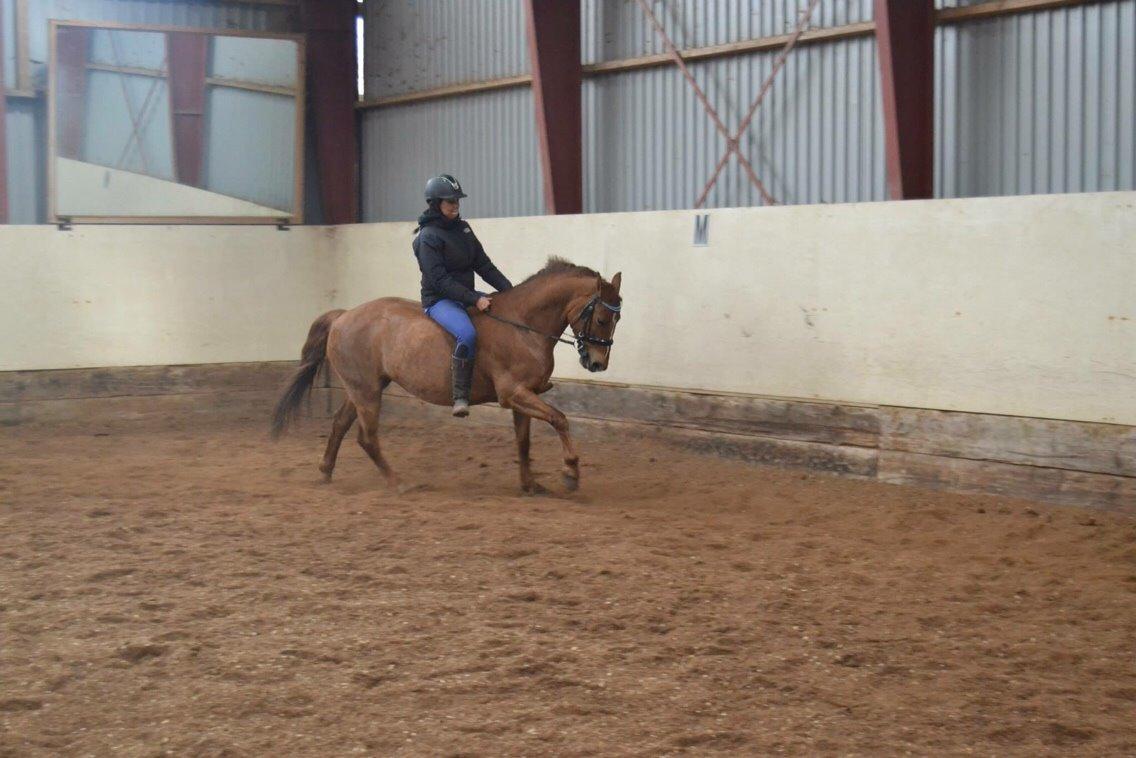 Anden særlig race Milla billede 20