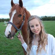 Anden særlig race Sonny Boy