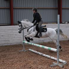 Anden særlig race Miss dixie