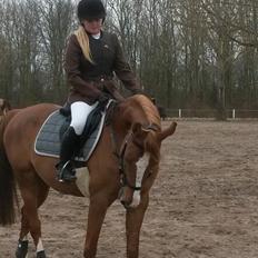 Anden særlig race Suspicious Firefly Flip