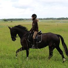 Oldenborg Faurholts Frk. Smilla