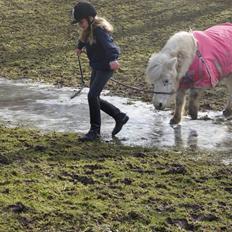 Anden særlig race Kiki