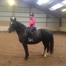 Oldenborg Tina Donholm