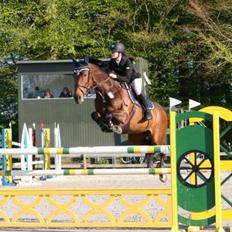 Holstener Orchidee 140