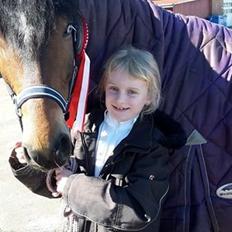 New Forest Stemar´s Blue Eye