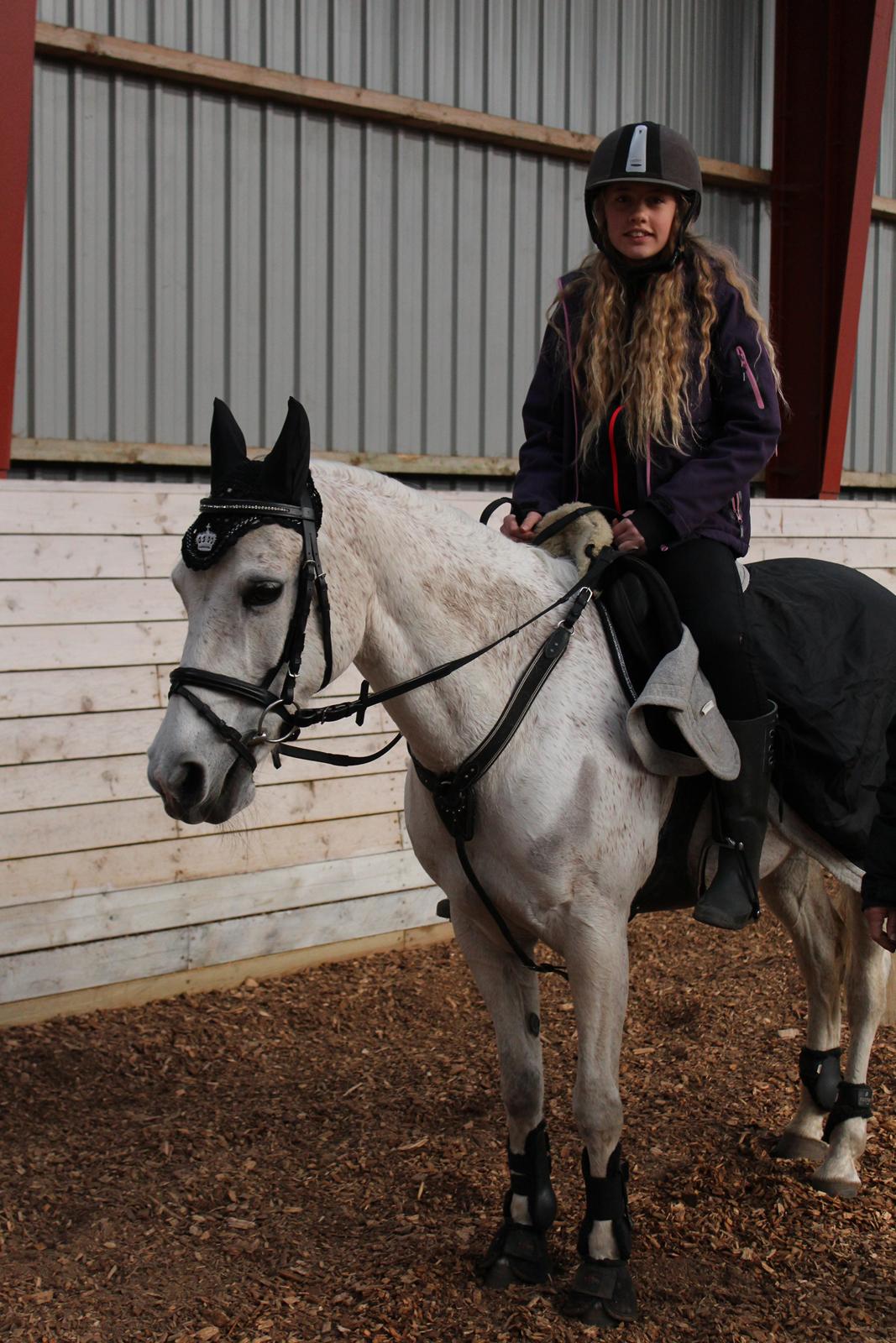 Anden særlig race Miss dixie billede 17