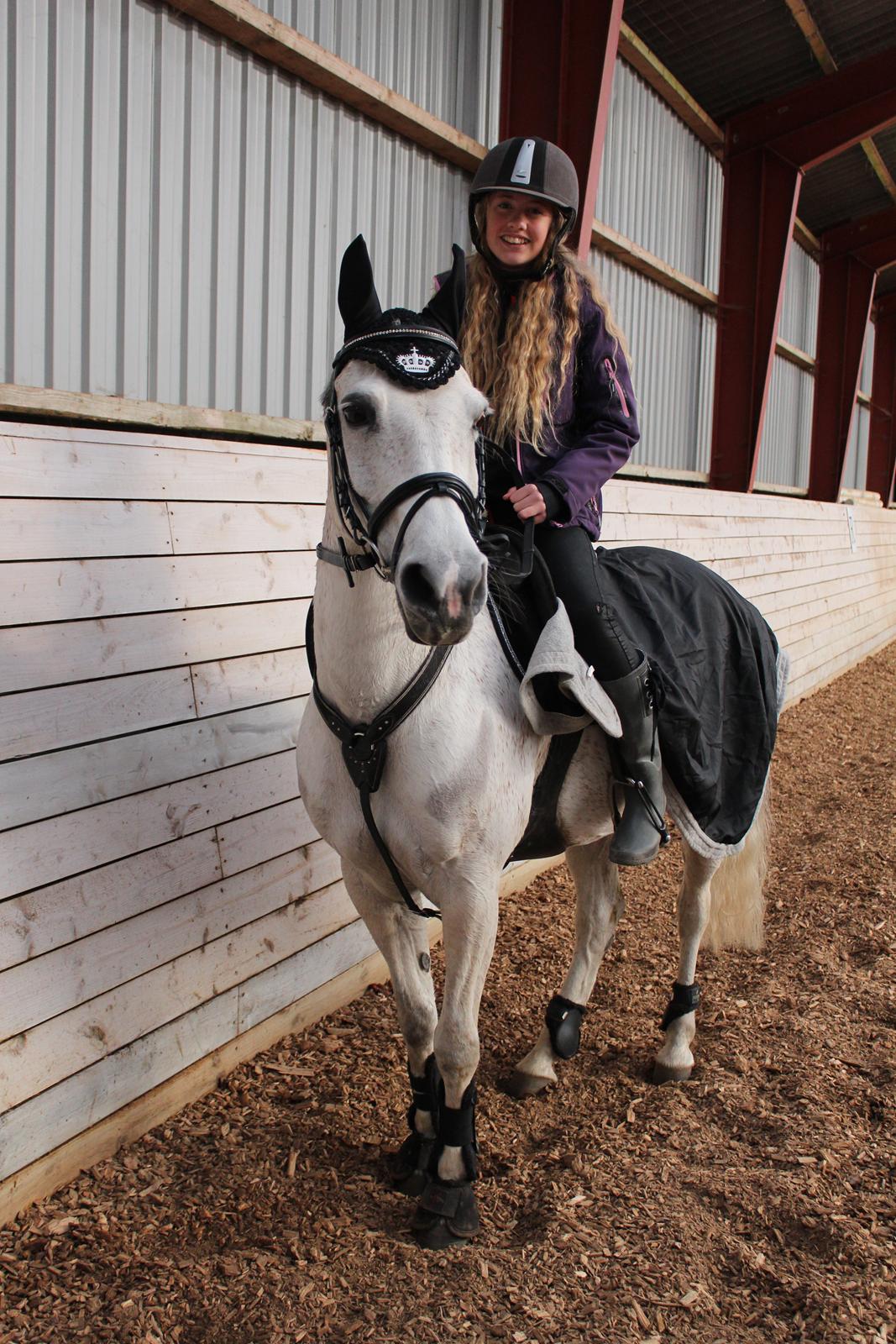 Anden særlig race Miss dixie billede 19