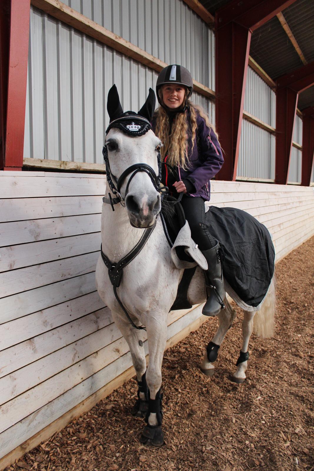 Anden særlig race Miss dixie billede 18