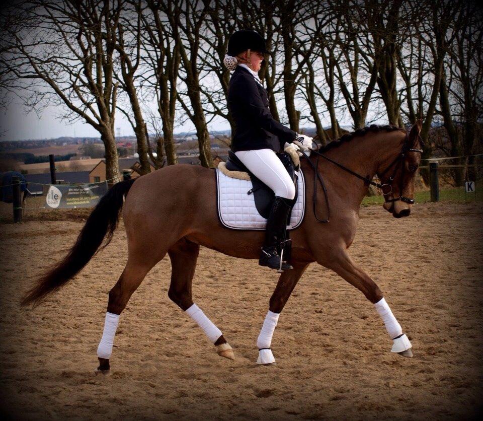 DSP Zorba billede 48