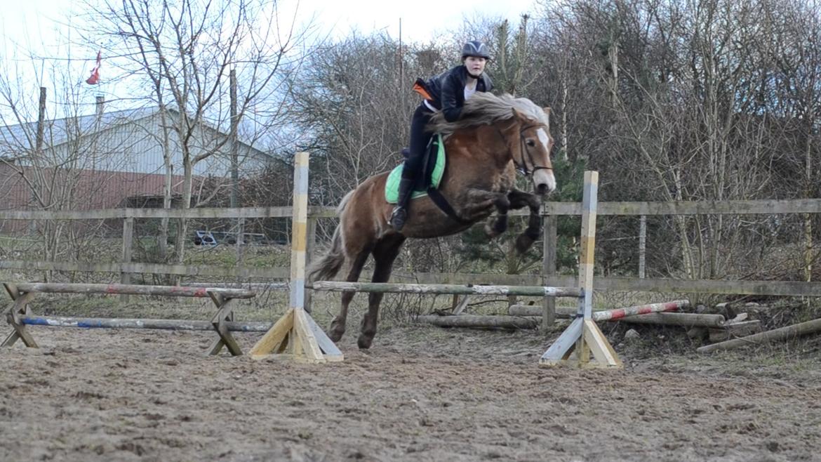 Anden særlig race Pippi - Turbo ponyen billede 6