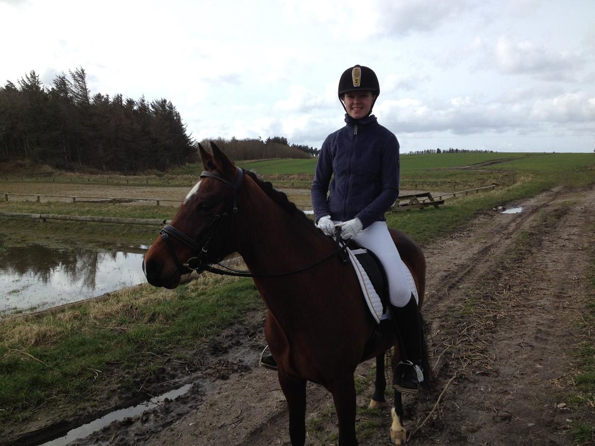 DSP Bæklunds Camikka billede 13