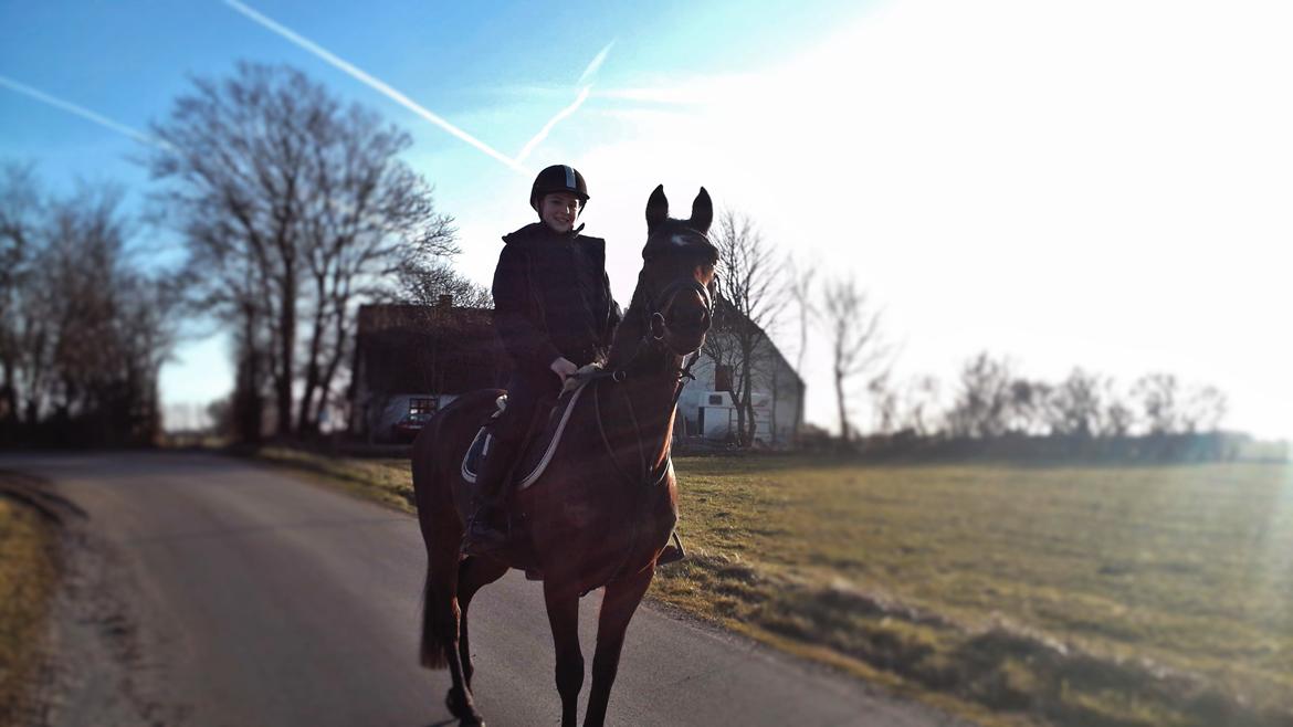 DSP Keegan's Duffy billede 7