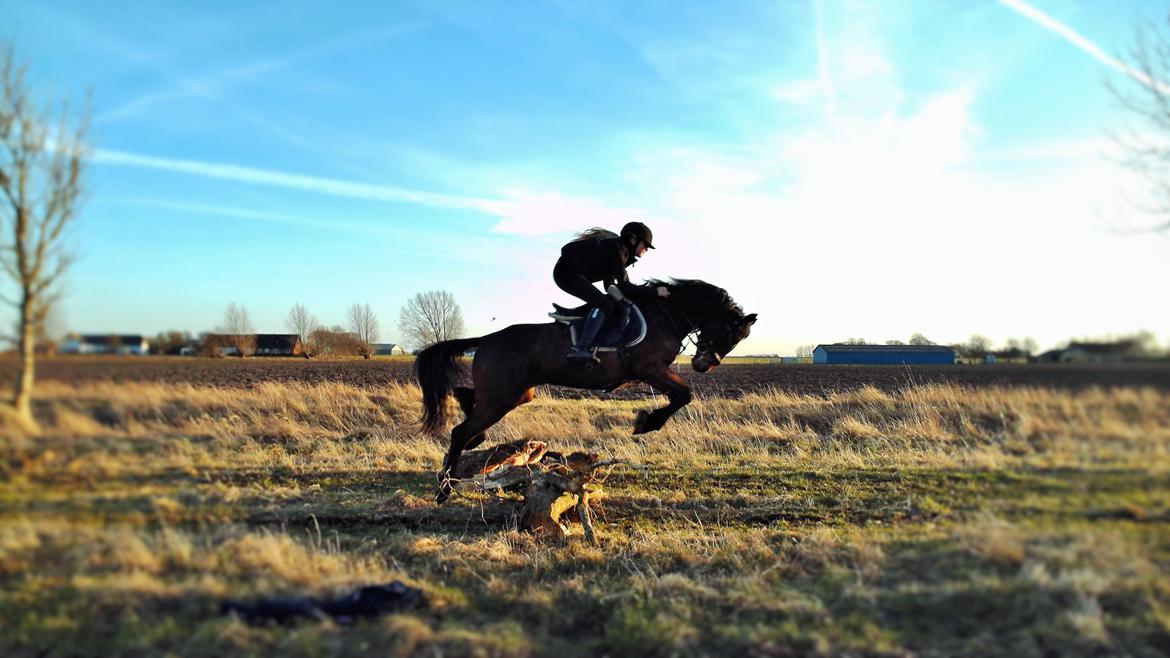 DSP Keegan's Duffy billede 11