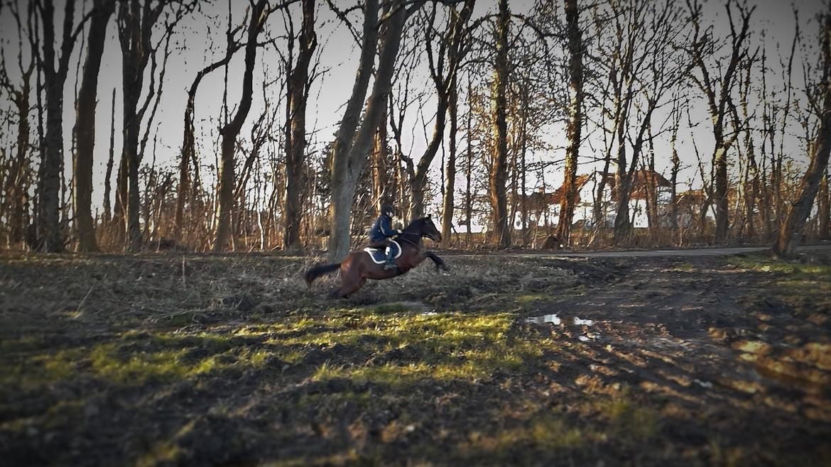 DSP Keegan's Duffy billede 9