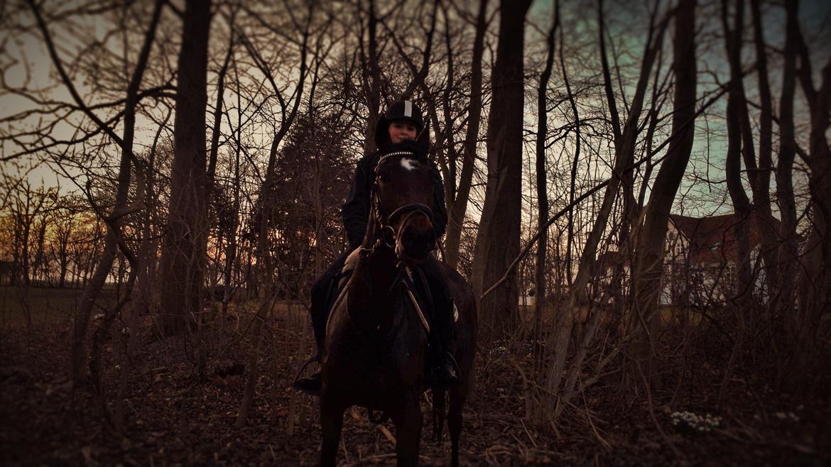 DSP Keegan's Duffy billede 6