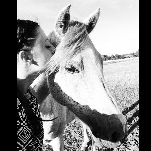 Hollandsk Sportspony Shakira billede 8