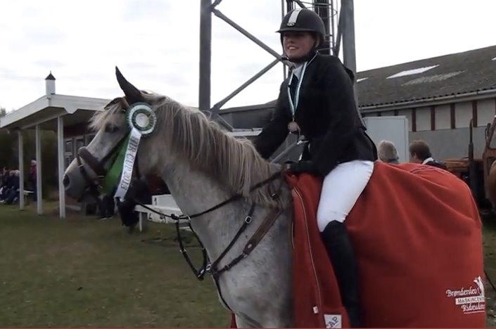 Hollandsk Sportspony Shakira billede 3