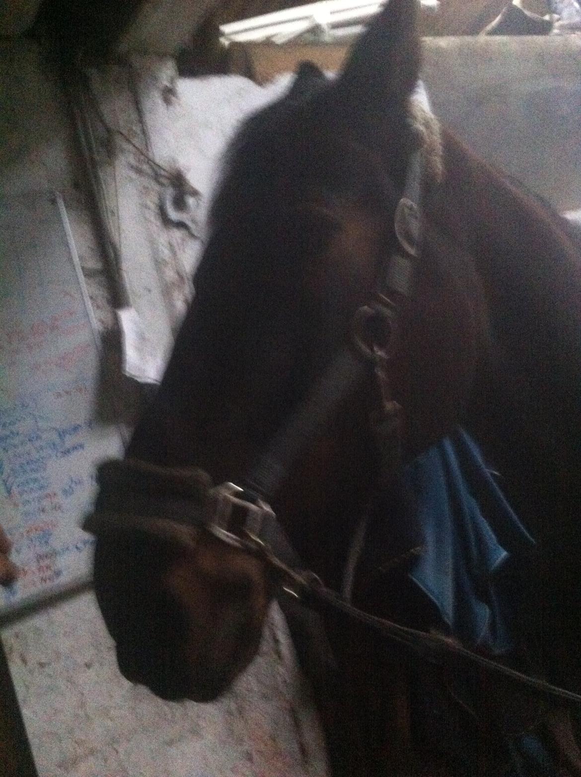 Traver Leroy Hall billede 13