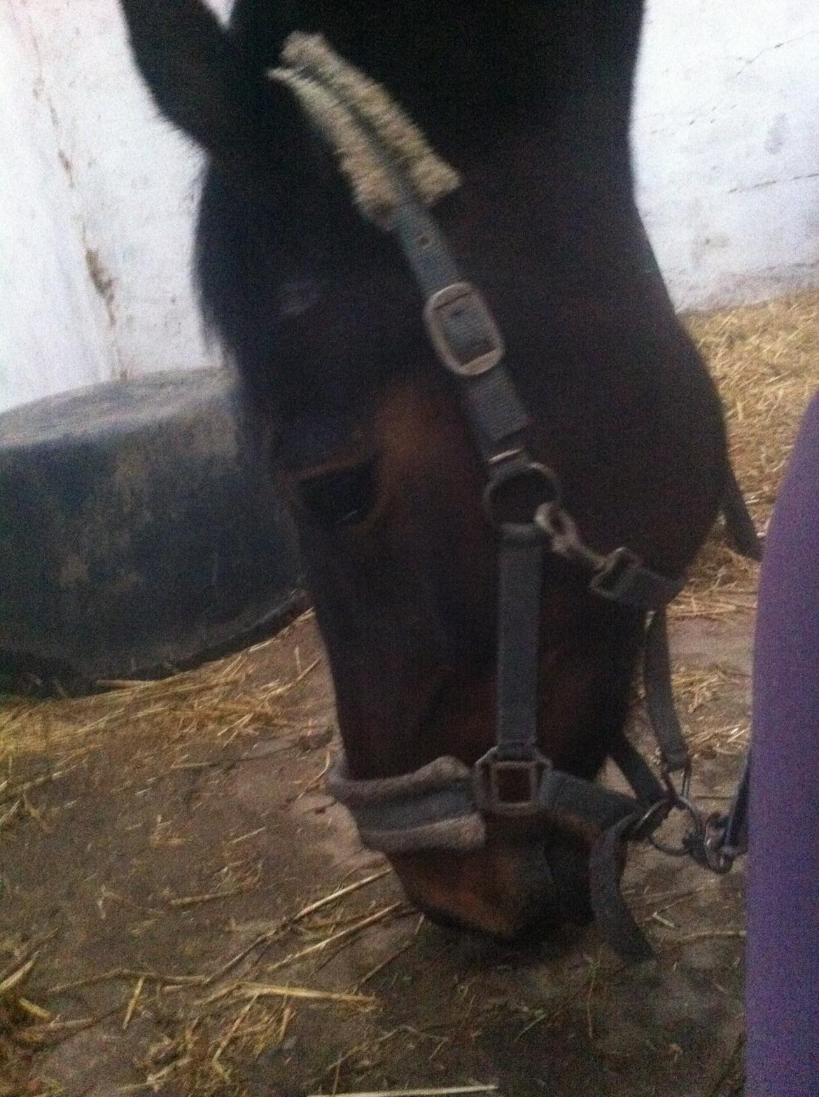 Traver Leroy Hall billede 16