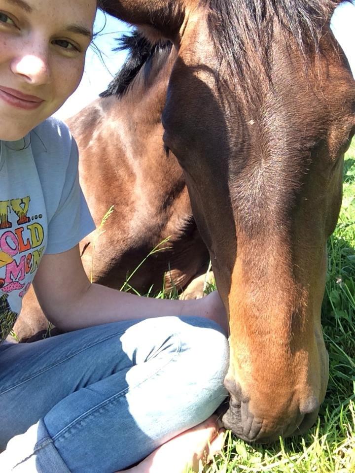 Anden særlig race Clint - Sommertyk og træt hest  billede 2